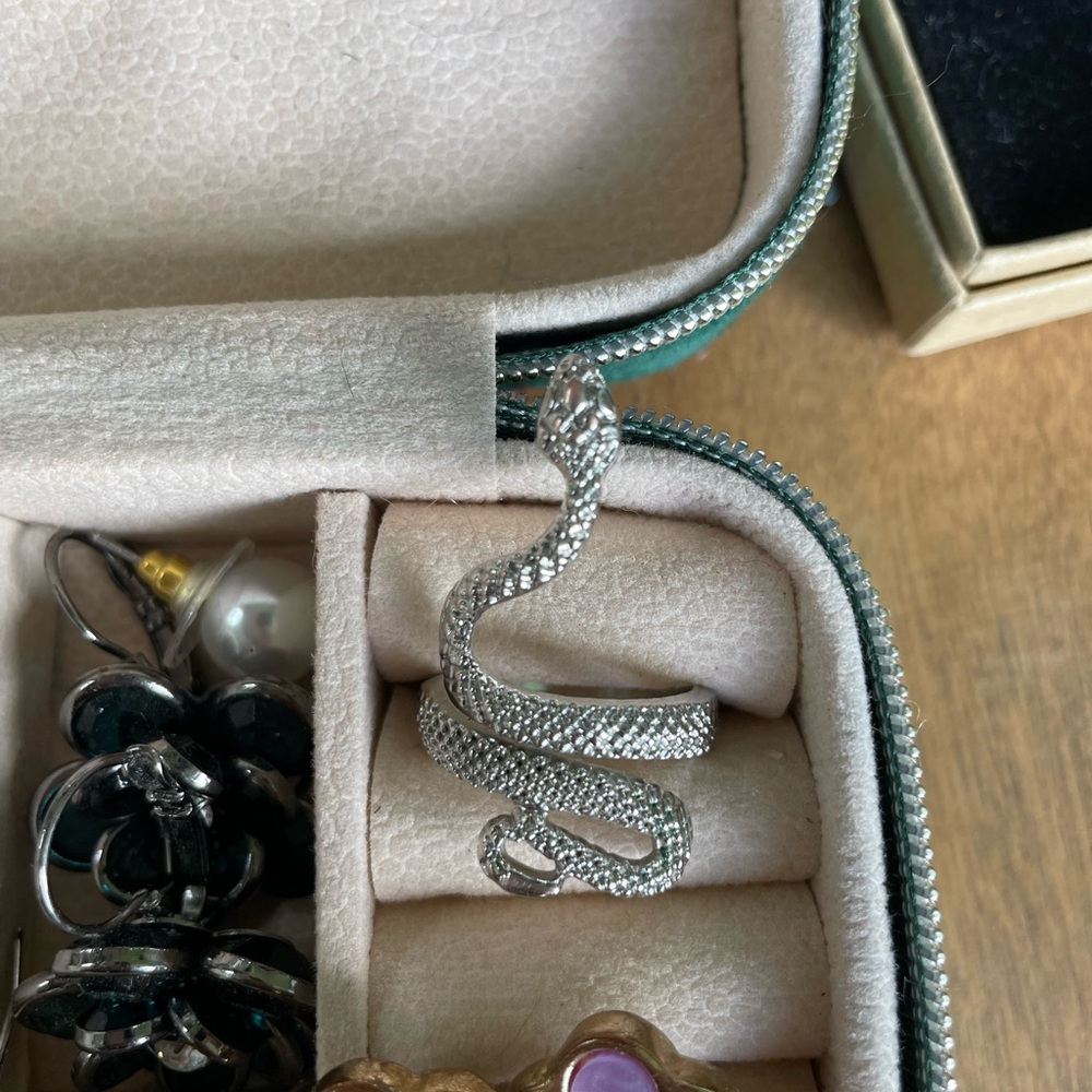 Silver Snake Ring for Reptile Enthusiasts - Picture 3 of 3